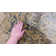 Adagio Oriental Indoor Rug