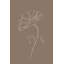 Transparent Flower Sketch - Wrapped Canvas Painting-65656222