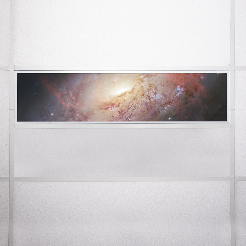 Housse pour éclairage décoratif flexible astronomique