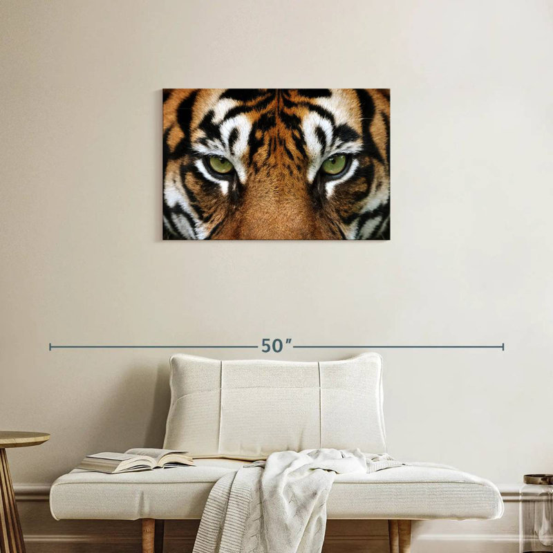 Regard d'un tigre, H 20 po x l 30 po