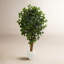 Ficus artificiel 60 po dans un pot de fleurs