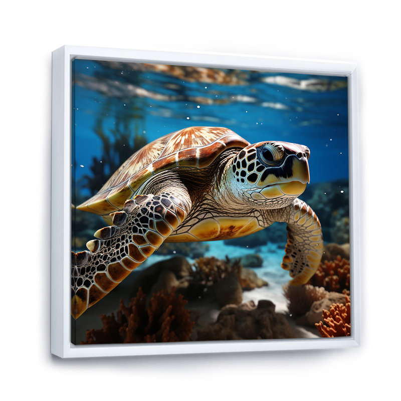 «Curious Underwater Sea Turtle I», reproduction sur toile, Cadre flottant blanc, H 16 po x l 16 po
