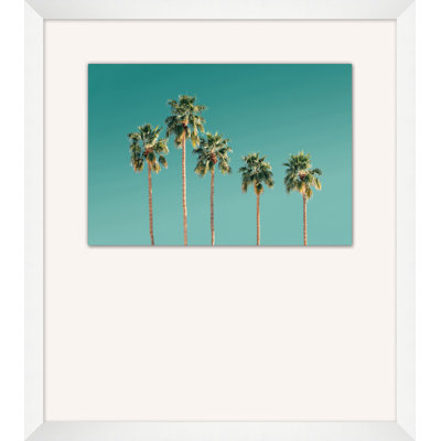 Palm Tree Sky Print by Christopher Kennedy