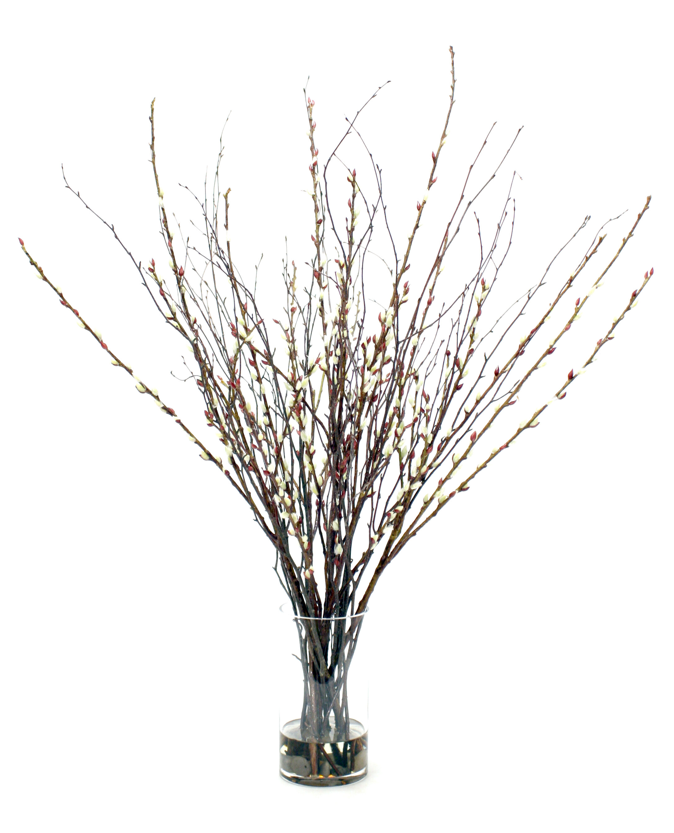 Faux Pussy Willow Stem - Off-White