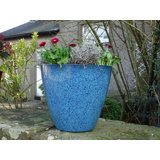 Alexaundrea Pot Planter