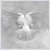 Soft Dove Print