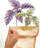 Plants & Flowers Non-Wall Damaging Wall Decal