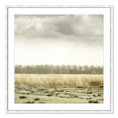 Henri "Meadowland" Print by Danita Delimont