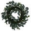 Vickerman 24" Green Eucalyptus Wreath.