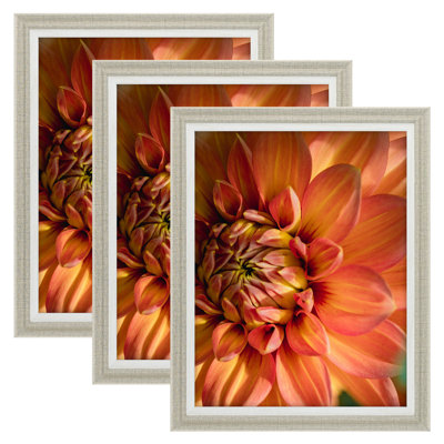 Modern Picture Frames - Display Frames for Wall or Tabletop|Home & Office Decor
