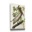 Pl 251, pélican brun - reproduction d'art sur toile tendue-455743700