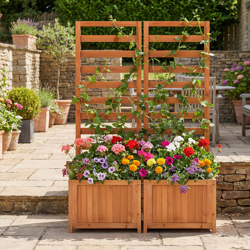 123cm H x 42cm W, Orange