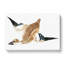 Flying Duck by Johan Teyler - Wrapped Canvas-55314787