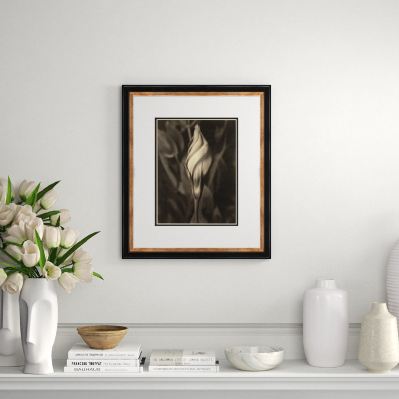 Sepia Flowers 18 Giclee Print by Soicher Marin Archives
