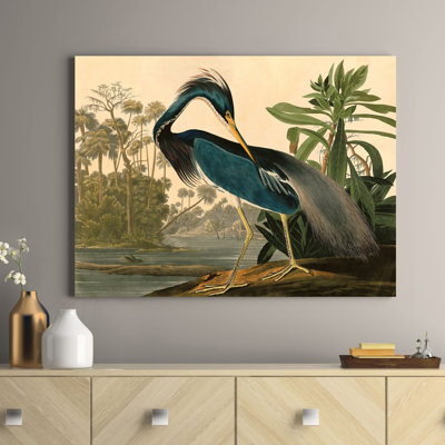 Louisiana Heron by John Audubon - No Frame Painting on Canvas