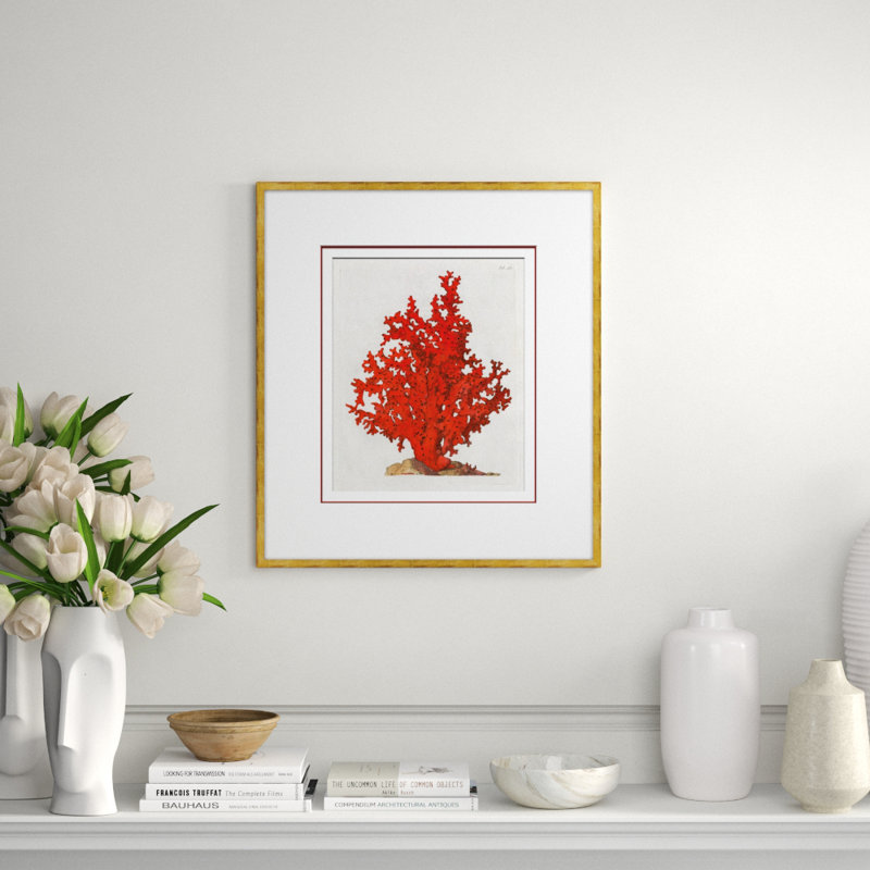 Coral In Red 2 Giclee Print by Soicher Marin Archives