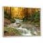 Forêt, cascade, arbres jaunes - reproduction de photo-1185076778-1185076754-1113129311