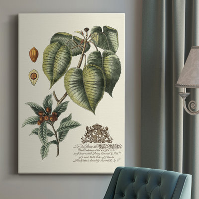 " Imperial Foliage III "