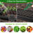 80-Cell Seed Starter Tray with 4 Full-Spectrum Grow Lights, Indoor Seedling Propagation Kit with Timer & Adjustable Vents