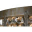 Chrisanne 2 - Light Flush Mounted Sconce