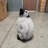 Baby Penguin Statue