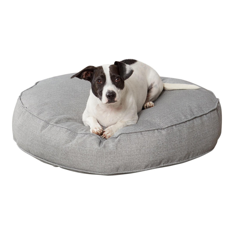 Lit-coussin pour chien Gordie, Moyen (l 30 po x P 36 po x H 5 po), Gris