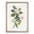 Oak Framed selected