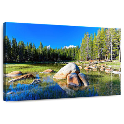 Summer In Yosemite