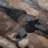 Wool Area Rug with Tencel-1224177590