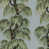 Dove Willow