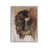 Illusive Buffalo by White Ladder Art Print-1133639664-1133639668-1133639673