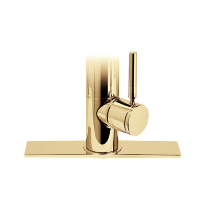 Contemporary 10" Escutcheon Plate