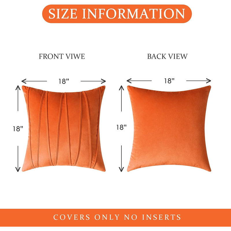 Topfinel Velvet Pillow Cover & Reviews | Wayfair