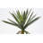 48'' Faux Yucca Tree in Pot
