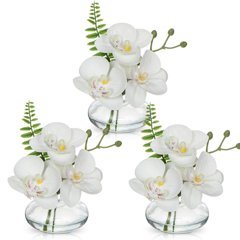 Arrangement in Vase, White, Clear
