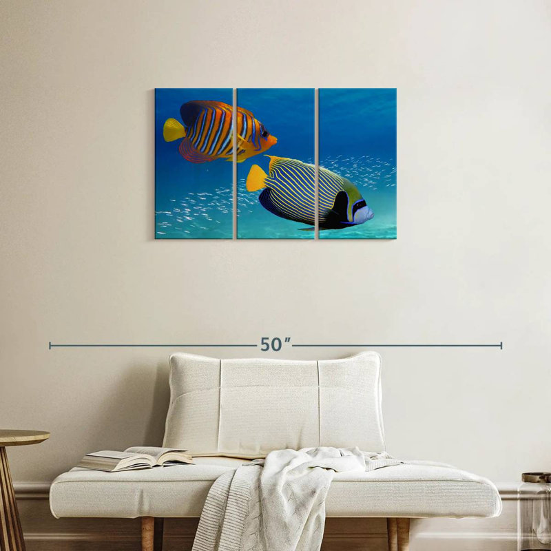 Poisson-ange exotique empereur, H 20 po x l 33 po