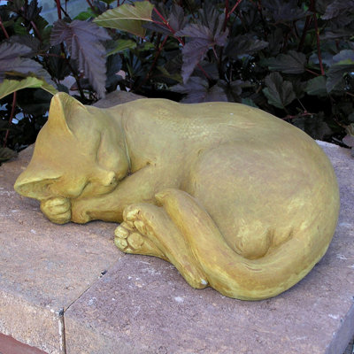 Grand chat enroulé