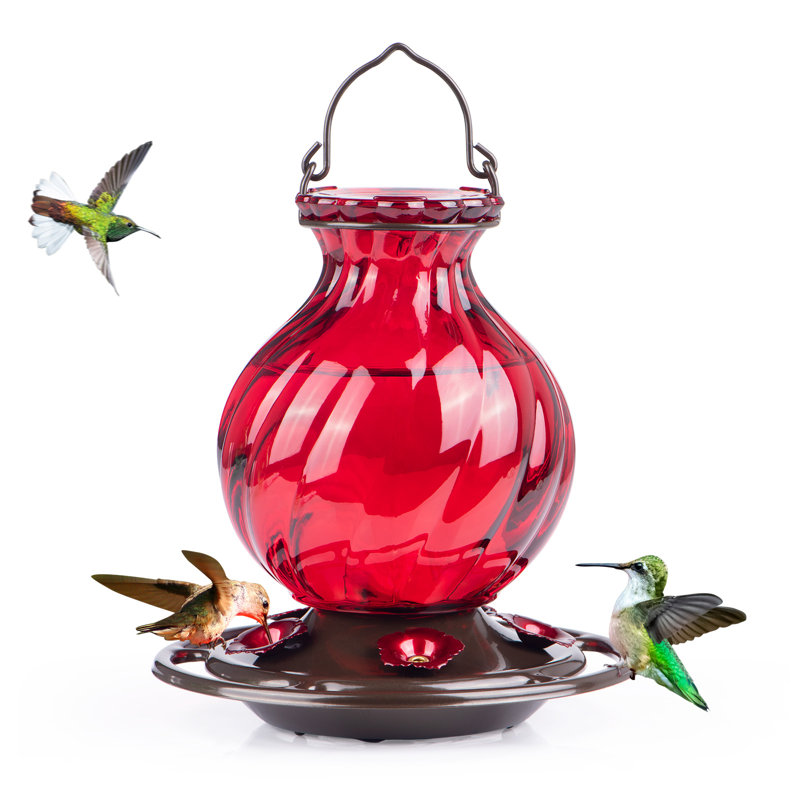 Mangeoires à colibris Camaren