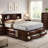 Gurtrude Bookcase Bed-730865059-730865058