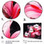 Décoration murale botanique rose et noire - Abstract Botanicals-968666290-968666286