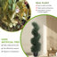 Topiaire de cyprès artificiels Primrue-1857493636