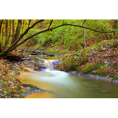 Autumn Stream - Wrapped Canvas Print