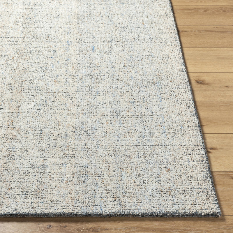 Alicia Hand Tufted Area Rug in Gray, Rectangle 2' x 3'