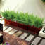 Plantes artificielles artificielles en plastique