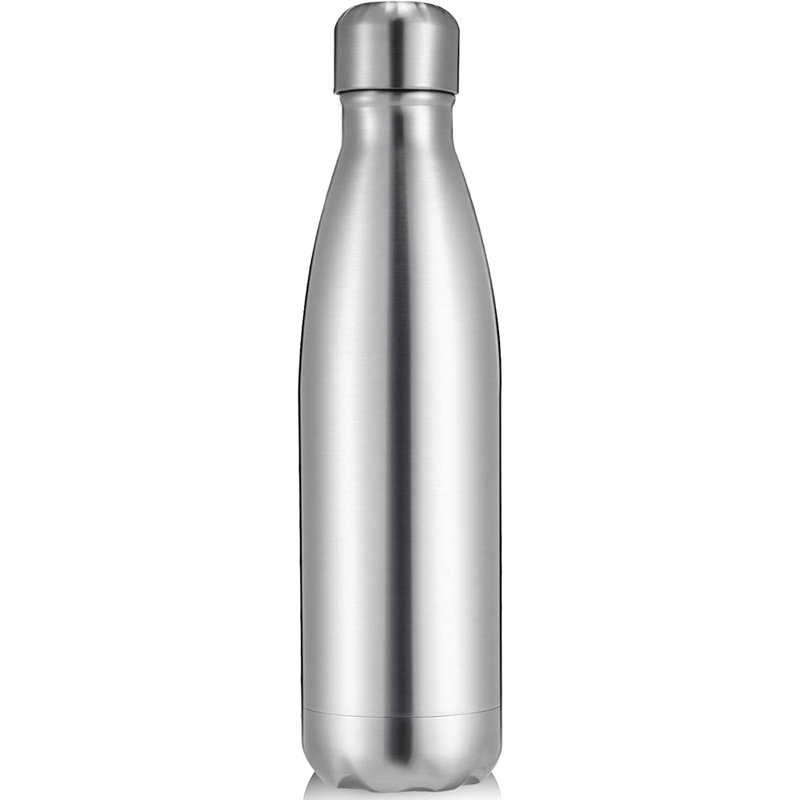 Bouteille d'eau isotherme en acier inoxydable 25 oz, aspirateur à double paroi, argent (paquet de 1)