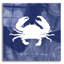 «Crab» par Erin Clark, art mural en verre acrylique-1974623152
