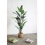 71.7'' Faux Birds Of Paradise Plant in Pot