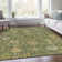 Machine Washable Indoor/Outdoor Xhevrie Fern Rug