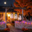 Halloween Decorative Accent