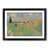Black Framed selected